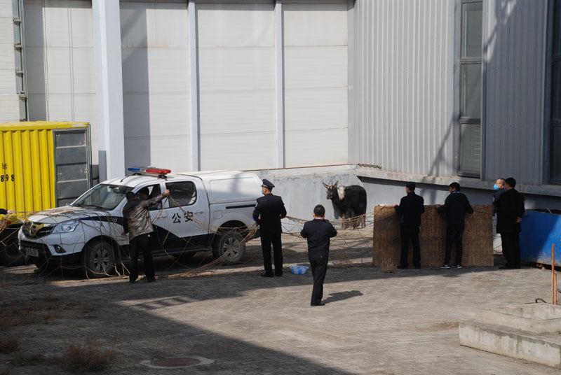 星火機床公司助力國家二級保護動物回歸“家園”