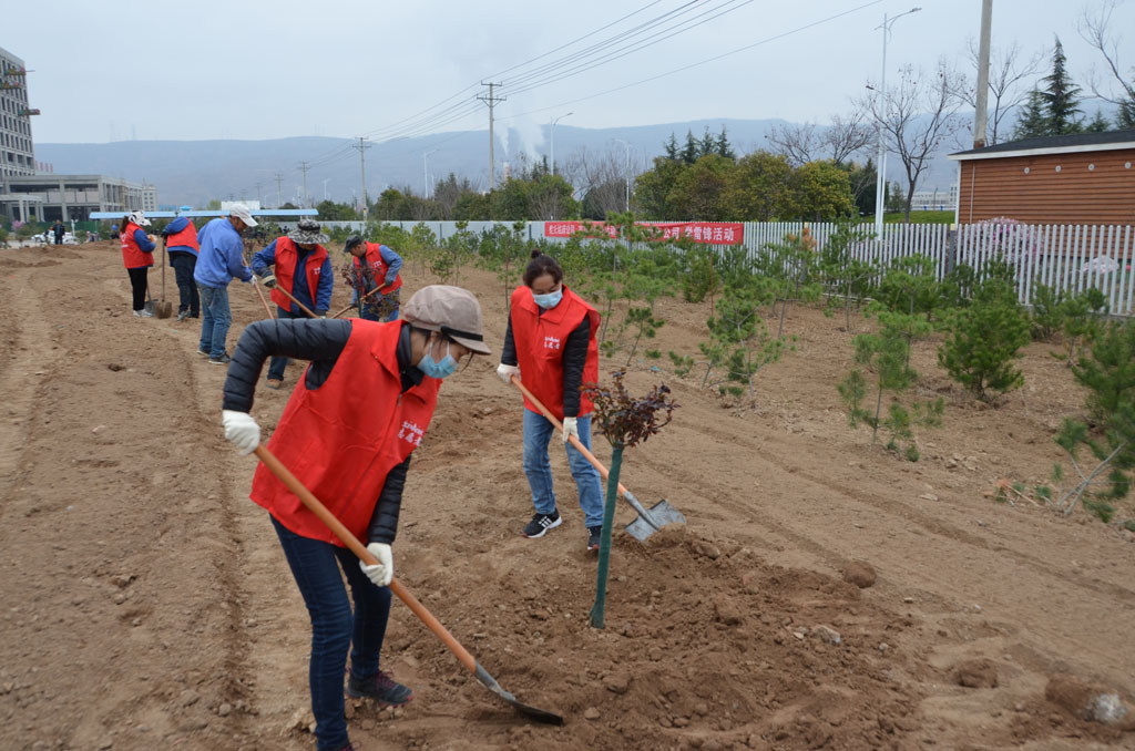 星火機床公司持續開展綠化工作