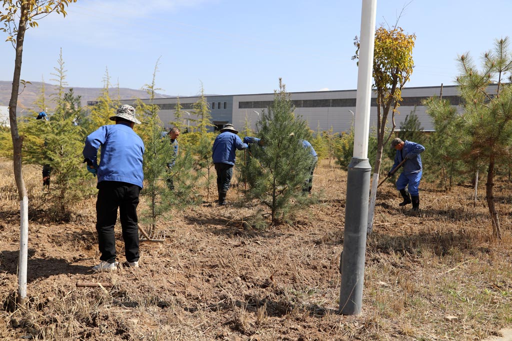 星火機床物業公司開展樹木移栽活動